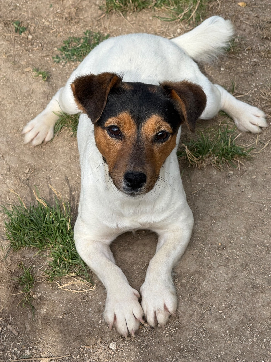 Vaya con dios Des as du roc